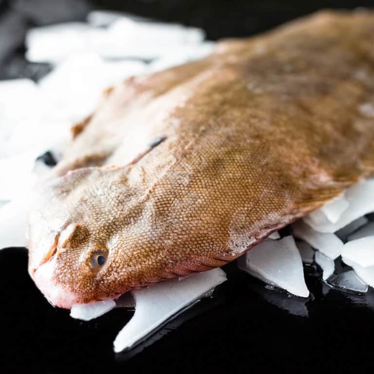 Wild Dover Sole - Brighton & Newhaven Fish Sales