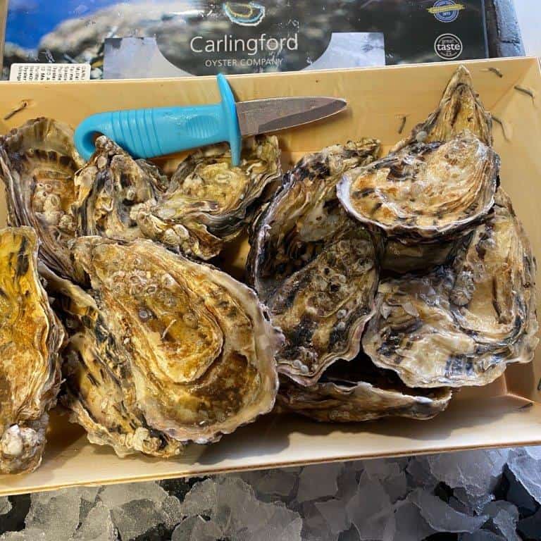 Carlingford Oysters – Dozen – Brighton & Newhaven Fish Sales