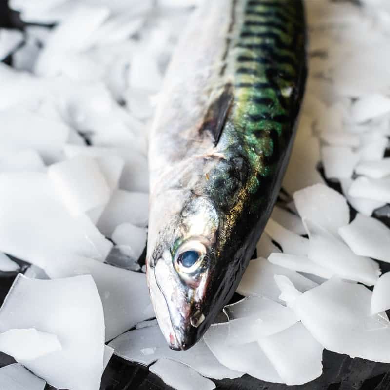 Wild UK Mackerel - Brighton & Newhaven Fish Sales